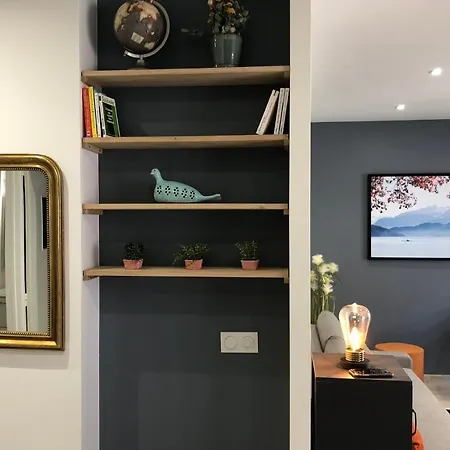 Modern 1room Canal Terrace 400m Annecy